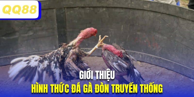 Giới thiệu loại hình thi đấu mãn nhãn đá gà đòn