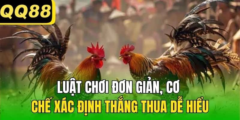 Luật chơi đơn giản, cơ chế xác định thắng thua dễ hiểu