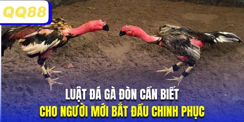 Tìm hiểu chi tiết về luật chọi kê đòn tại nhà cái