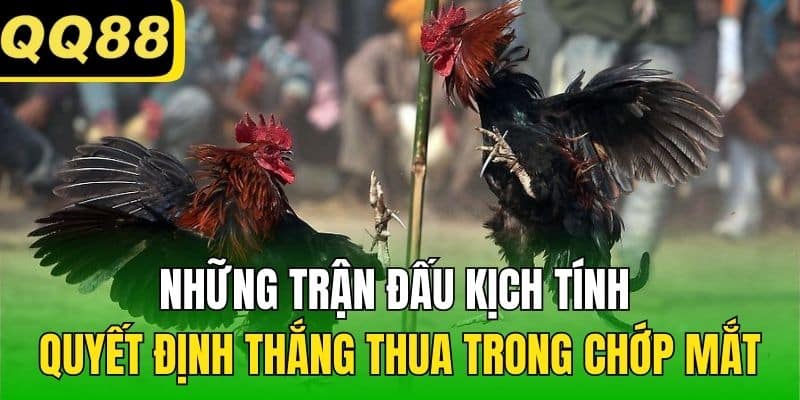 Những trận đấu kịch tính quyết định thắng thua trong chớp mắt